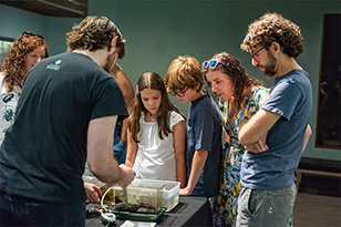 A group of people looking at a specimen in a box.